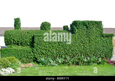 Dampfzug - Chinty Hedge als Magazin im Daily Mirror und "OK" angezeigt Stockfoto