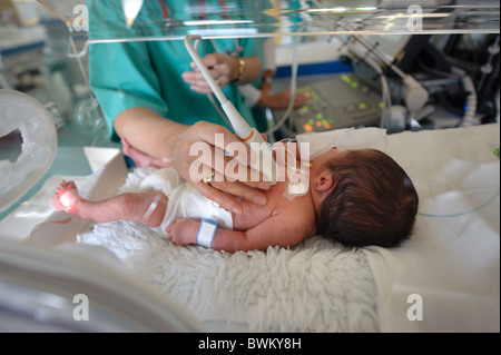 Der Arzt führt eine Sonographie an einem neugeborenen Frühgeborenen in einem Inkubator durch Stockfoto
