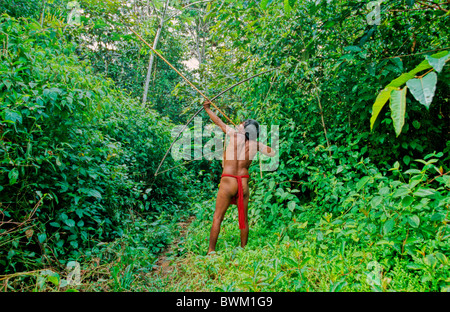 Venezuela Südamerika Indios Yanomami Cavaroa Stamm Ureinwohner Indianer Native Eingeborenen kommen aus Rio Stockfoto