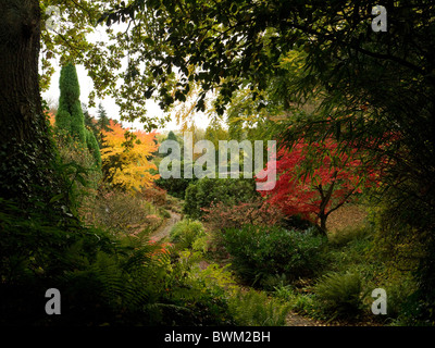 Herbst-Wunderland in Newstead Abbey Park, Linby, Newstead, Nottinghamshire Stockfoto