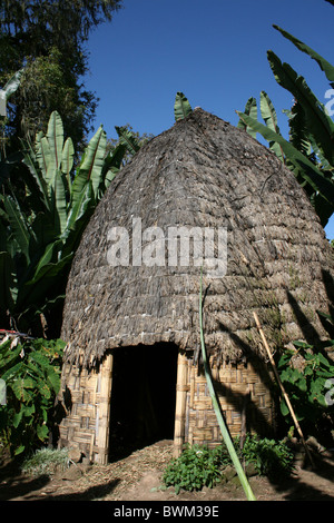 Traditionelle Dorze Bienenstock Hütte. Aufgenommen In Chencha, Omo-Tal, Äthiopien Stockfoto