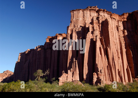 Argentinien Südamerika Canyon Parque Nacional Talampaya UNESCO Weltkulturerbe in der Nähe von Villa Union La Rioja Sout Stockfoto