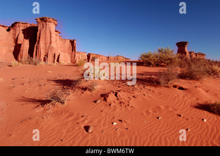 Argentinien Südamerika Canyon Parque Nacional Talampaya UNESCO Weltkulturerbe in der Nähe von Villa Union La Rioja Sout Stockfoto
