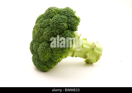Brokkoli Calabrese auf weißem Hintergrund Stockfoto
