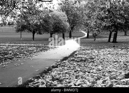 Ein Pfad schlängelt sich durch die herbstlichen Bäume im Park am Primrose Hill in Monochrom Stockfoto