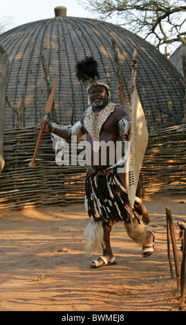 Zulu Mann, Shakaland Zulu-Dorf, Nkwalini Tal, Kwazulu Natal, Südafrika. Stockfoto