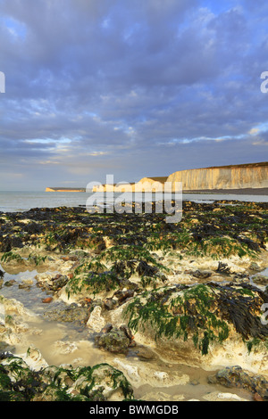 Ein frühen Winter Sonnenaufgang leuchtet auf den Klippen der sieben Schwestern bei Birling Gap, in der Nähe von Eastbourne, East Sussex, England. Stockfoto