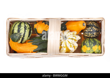 schöne dekorative Kürbisse Stockfoto