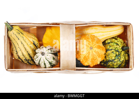 schöne dekorative Kürbisse Stockfoto