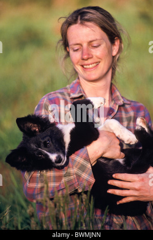 Frau mit Border-Collie Welpen, Australien Stockfoto