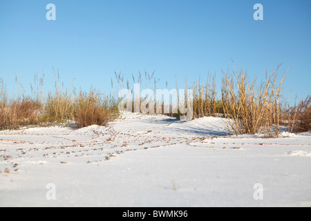 Naturlandschaft an Floridas Golfküste. Stockfoto