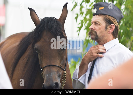Porträt des grauen arabischen champion Pferd und Reiter-Show Janow Podlaski August 2010 Polen Stockfoto