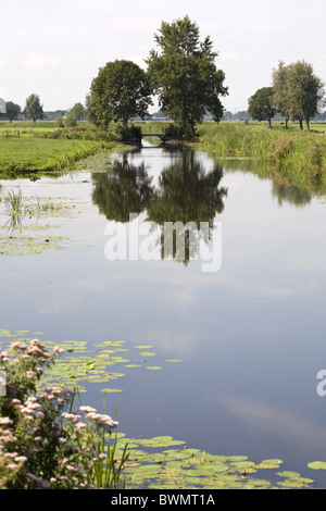 Polderlandschaft im westlichen Teil der Niederlande, Bleskensgraaf, Ausflüge, Süd-Holland Stockfoto