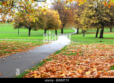 Eine kurvenreiche Fußweg übersät mit gefallene Herbstlaub im Vorfeld an die Spitze der Primrose Hill in London Stockfoto
