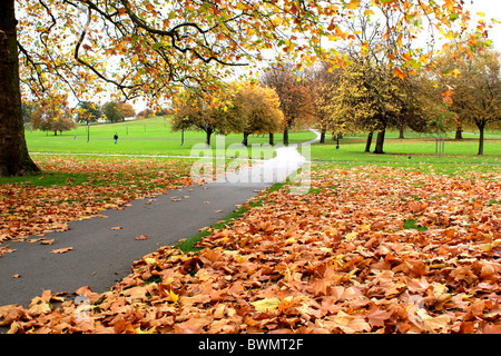 Ein Fußweg mit Liquidation an die Spitze der Primrose Hill in London im Herbst Laub übersät Stockfoto