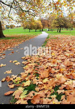 Ein Fußweg übersät mit gefallenen Herbst Blätter auf Primrose Hill in London Stockfoto