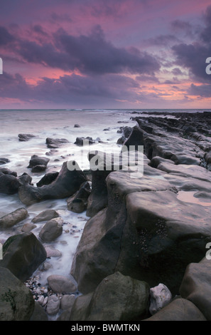 Kuh-Lücke in der Nähe von Beachy Head in East Sussex, England, UK Stockfoto