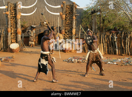 Zulu Männer demonstrieren Kampftechniken mit traditionellen Waffen, Shakaland Zulu-Dorf, Kwazulu Natal, Südafrika. Stockfoto