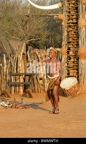 Zulu Krieger wirft einen Speer, Shakaland Zulu-Dorf, Nkwalini Tal, Kwazulu Natal, Südafrika. Stockfoto