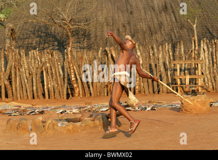 Zulu Krieger wirft einen Speer, Shakaland Zulu-Dorf, Nkwalini Tal, Kwazulu Natal, Südafrika. Stockfoto