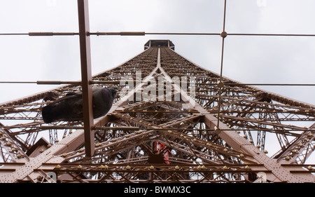 Nahaufnahme Detail Top 3. Etappe Abschnitt der Tour Eiffel (Eiffelturm) Paris Frankreich Stockfoto