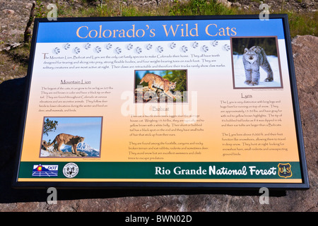 Interpretierende Zeichen, Rio Grande National Forest, Colorado Stockfoto