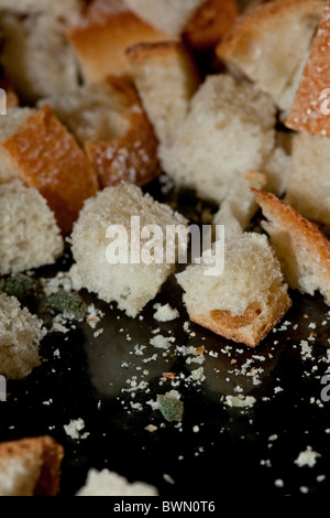 Gewürfelter, geröstetes Brot warten, Thanksgiving Füllung hinzugefügt werden soll. Selektive Schärfe. Stockfoto