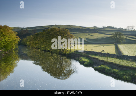 Reflexionen der Bäume in den Fluß Wharfe im Burnsall. Stockfoto