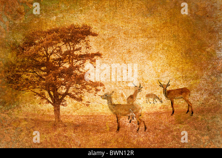 abstrakte Vintage Savannenlandschaft Stockfoto