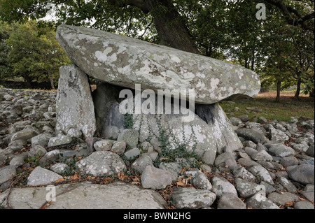 Dyffryn Ardudwy 6000 Jahre alte prähistorische megalithischen Dolmen Grab. Westlichen Grabkammer in Dolmen Cairn. Gwynedd, Wales, UK Stockfoto