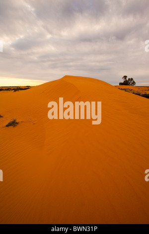 Roten Dünen von Perry Sandhills in der Nähe von Wentworth, New South Wales Stockfoto