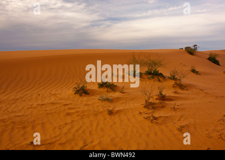 Roten Dünen von Perry Sandhills in der Nähe von Wentworth, New South Wales Stockfoto