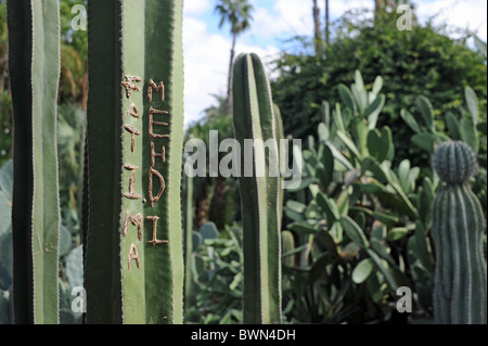 Marrakesch Marokko – Graffiti-Namen, die auf Kaktuspflanzen im Jardin Majorelle in Marrakesch gekratzt sind Stockfoto