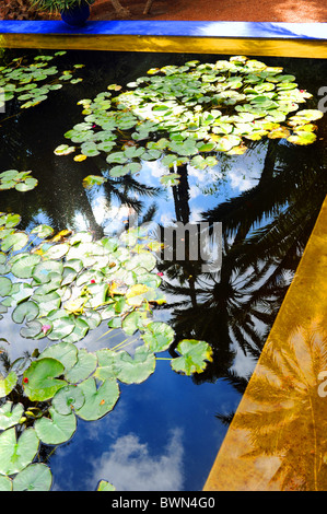 Marrakesch, Marokko - The Jardin Majorelle gegeben, die Stadt Marrakesch von Designer Yves Saint Laurent Stockfoto