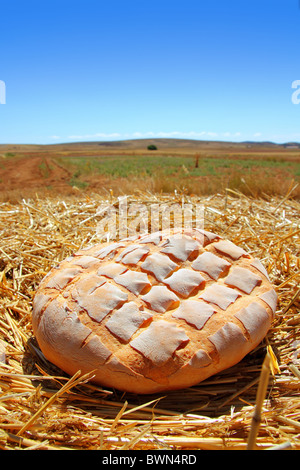 Brot Brötchen-Runde zum goldenen Weizenstroh Hintergrund Stockfoto