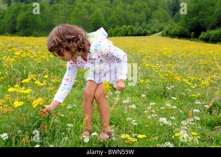 Mädchen Blumen zu pflücken, in gelben Frühlingswiese schöne malerische in Pyrenäen Spanien Stockfoto