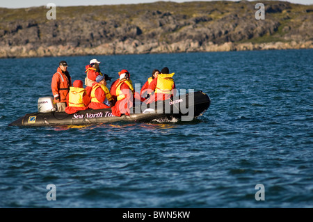 Churchill River Beluga Walbeobachtungstour Abenteuer, Cape Merry, Churchill, Manitoba. Stockfoto