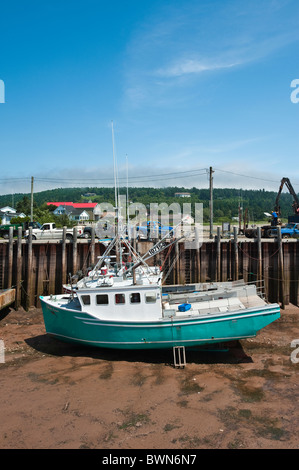 Ebbe im Hafen, Alma, New Brunswick, die Maritimes, Kanada. Stockfoto