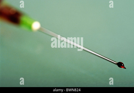 Tropfen Blut am Ende einer Spritze. Stockfoto