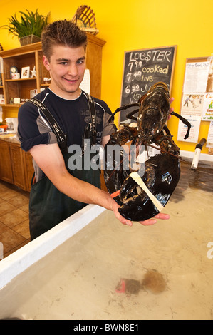 Hummer zum Verkauf, Alma, New Brunswick, die Maritimes, Kanada. Stockfoto