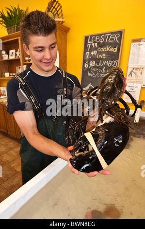 Hummer zum Verkauf, Alma, New Brunswick, die Maritimes, Kanada. Stockfoto