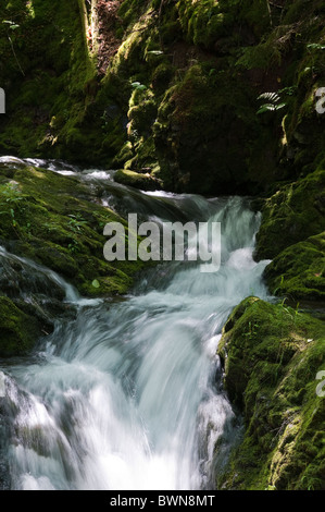 Dickson Falls im Fundy National Park, Alma, New Brunswick, The Maritimes, Kanada. Stockfoto