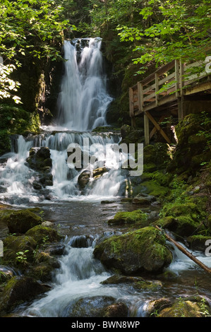 Dickson Falls im Fundy National Park, Alma, New Brunswick, The Maritimes, Kanada. Stockfoto