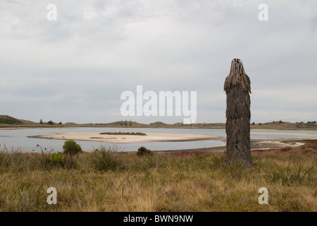 Ein Blick über eines der Salzseen auf Rottnest Island Stockfoto