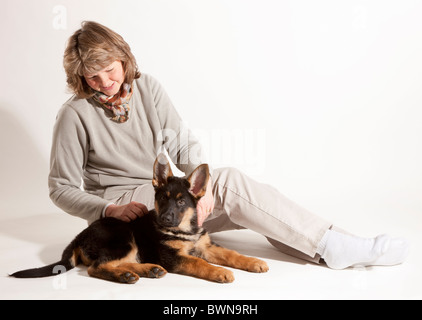 Eine Dame mit einem 11 Woche alt Deutscher Schäferhund Welpen Stockfoto