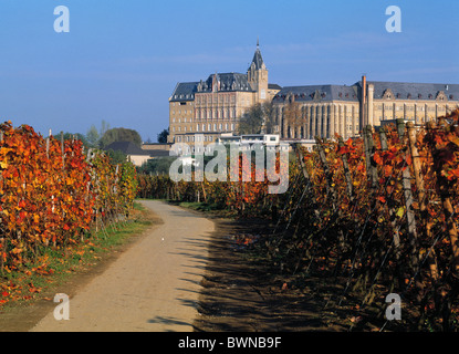 Deutschland Europa Bad Neuenahr-Ahrweiler Ahr Rheinland-Pfalz Kloster Kalvarienberg Abtei herbstliche Wein-gr Stockfoto