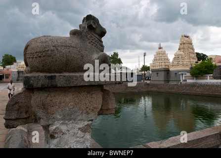 Sri Katchabeswarar; Kachabeswarar Tempel; Hindu; Shiva; Saivite; 13. Jahrhundert; Chola Tempel; in Kancheepuram; Kanchipuram, Stockfoto