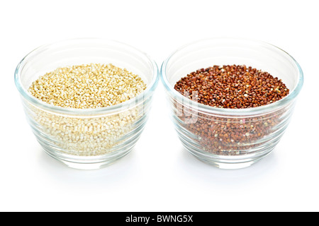 Rote und weiße Quinoa Getreide in Schalen auf weißem Hintergrund Stockfoto