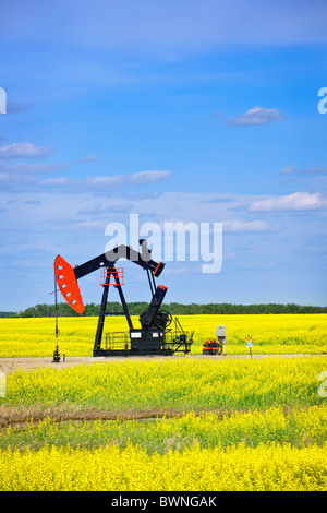 Öl Bohrschwengels oder nicken Pferd Pumpanlage in Saskatchewan Wiesen, Kanada Stockfoto