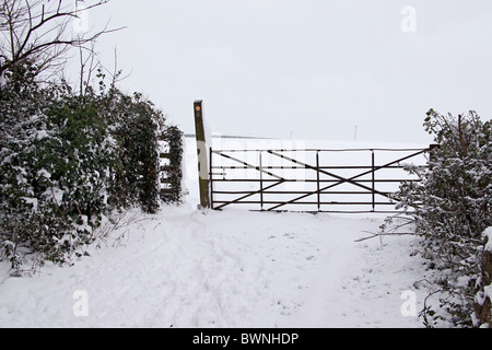 Selten über Nacht Schnee bedeckt das Dorf Cossington auf die Polden Hügel in Somerset, England, UK Stockfoto